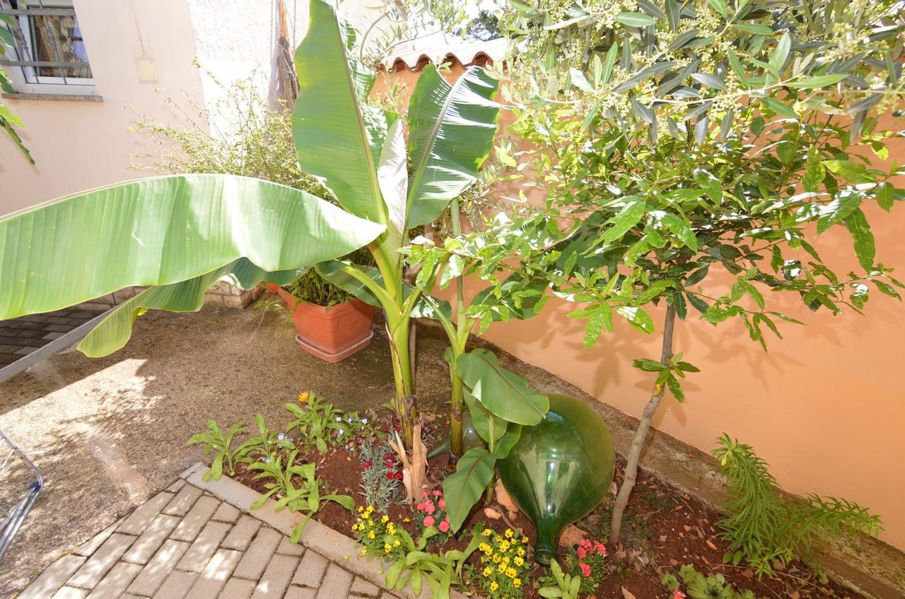 פורץ Apartmani Dekovic Materada מראה חיצוני תמונה
