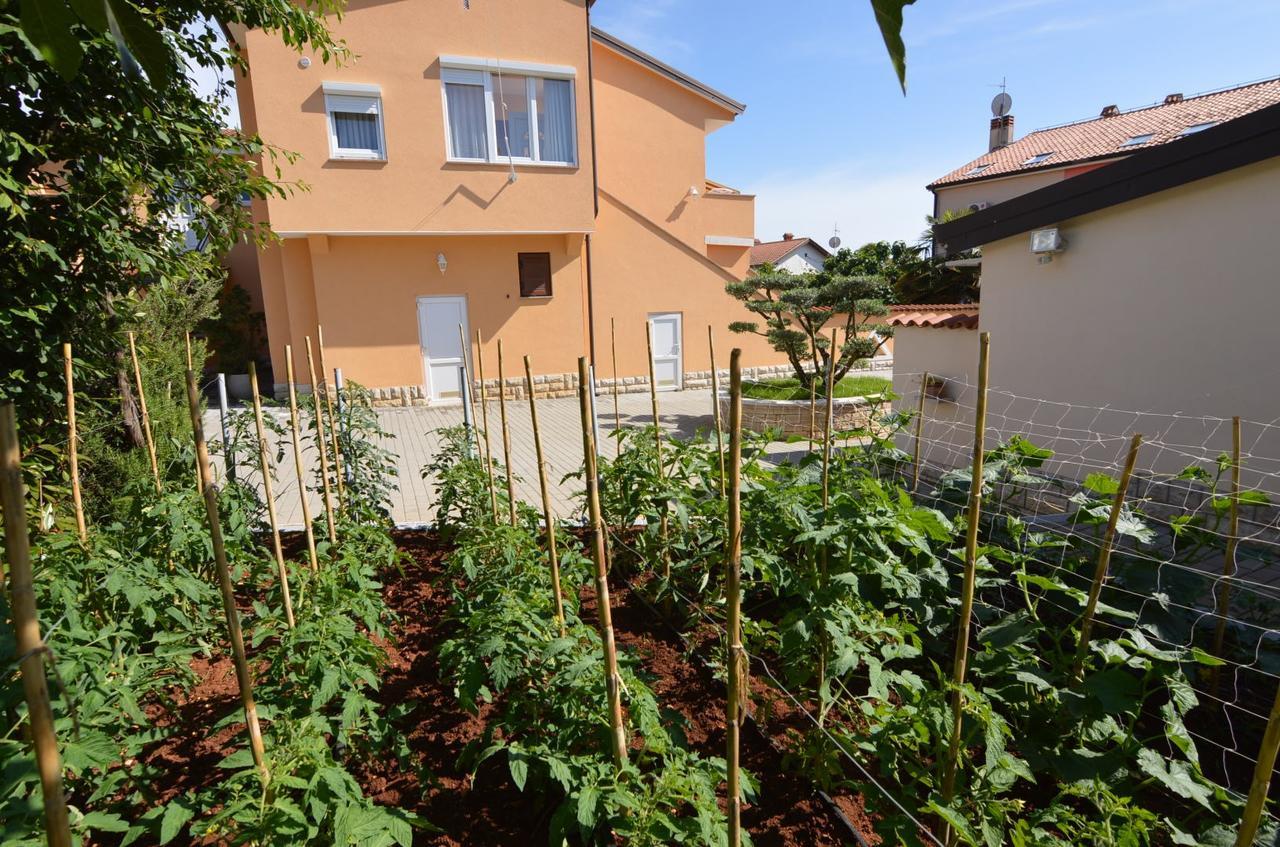 פורץ Apartmani Dekovic Materada מראה חיצוני תמונה